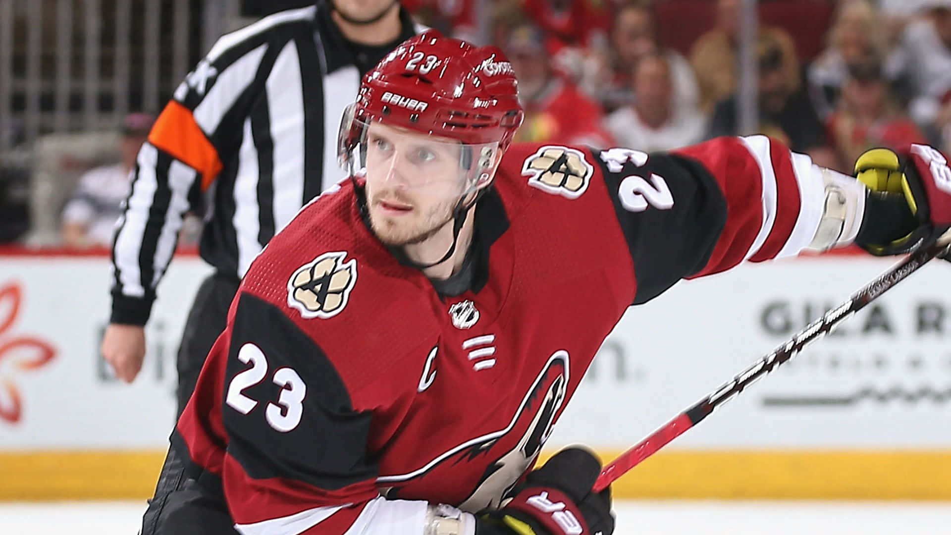 Arizona Coyotes Achtergrond