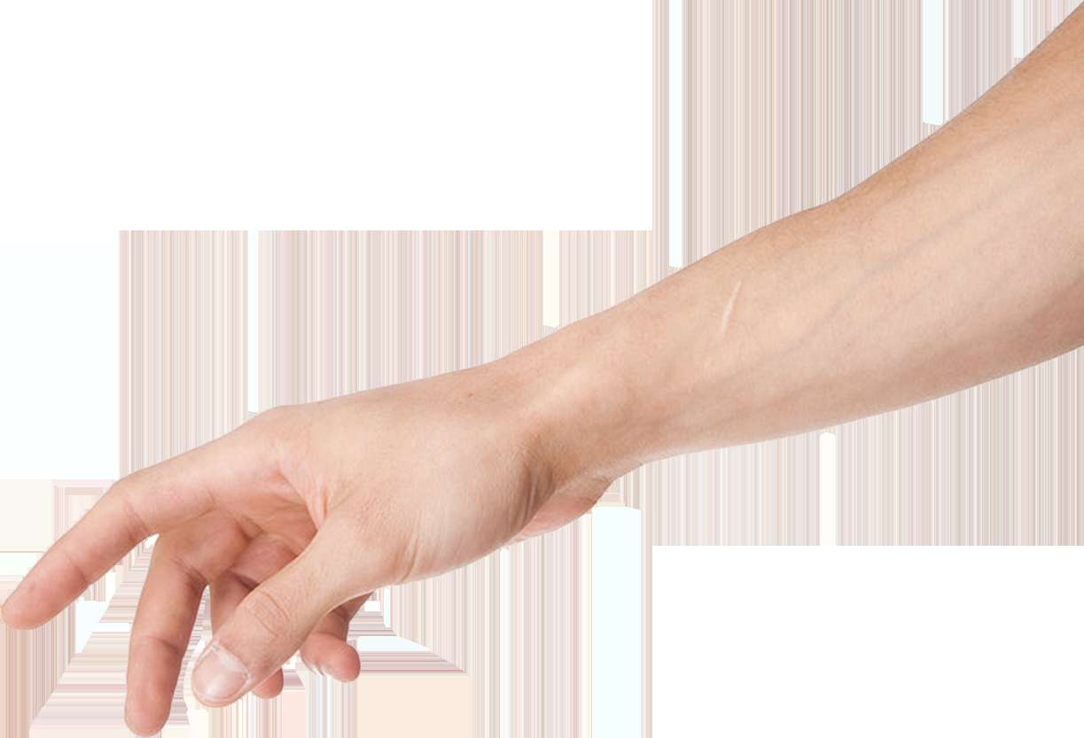 A person's arm and hand reaching out with fingers slightly curled. — Arm PNG