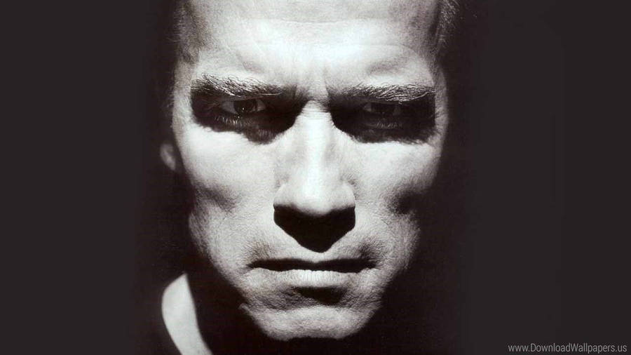 Arnold Schwarzenegger Hintergrund