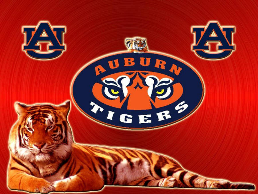62 Best Auburn Tigers iPhone Wallpapers ideas in 2023  auburn tigers  auburn auburn tigers football