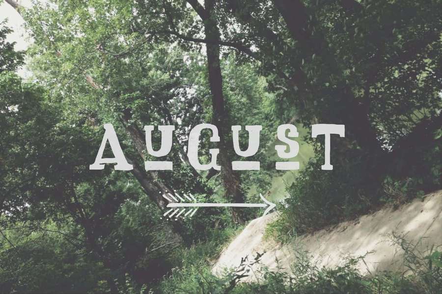 August text with arrow pointing through green forest — August Background