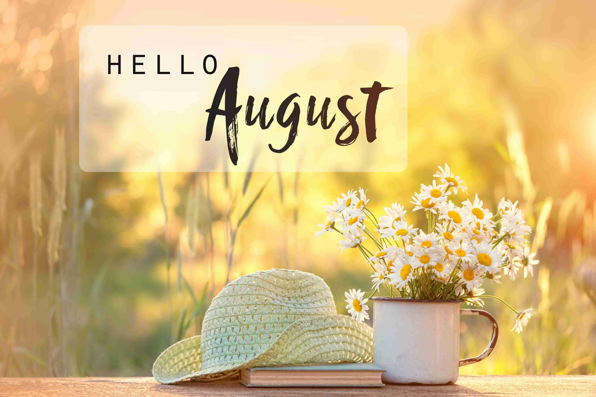 August Pictures Wallpaper