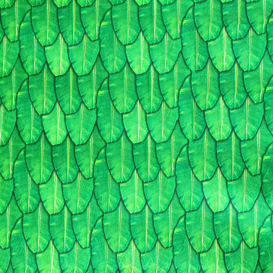 Närbild av överlappande bananblad som bildar ett tätt grönt tropiskt mönster. — Autentisk bakgrund Bakgrundsbilder