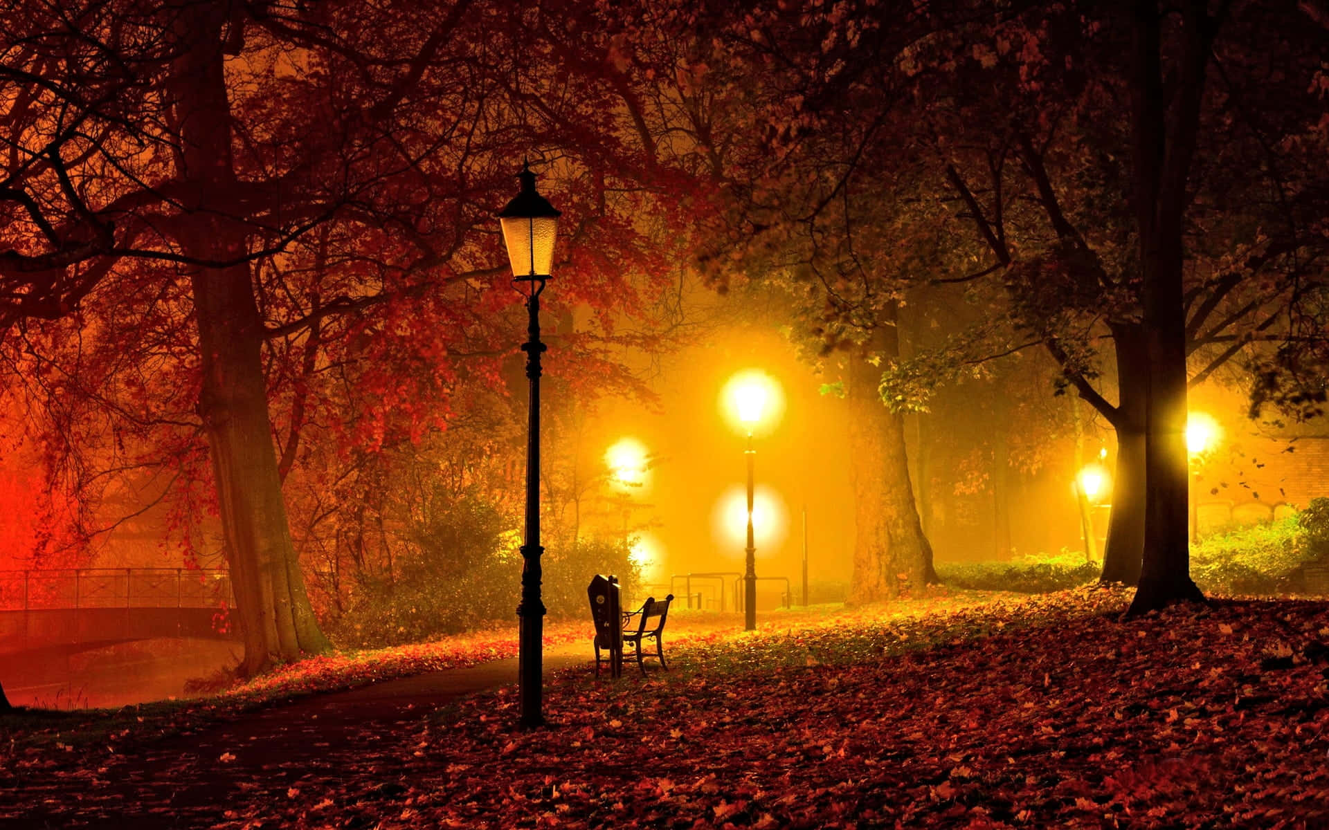 Autumn Evening Wallpaper