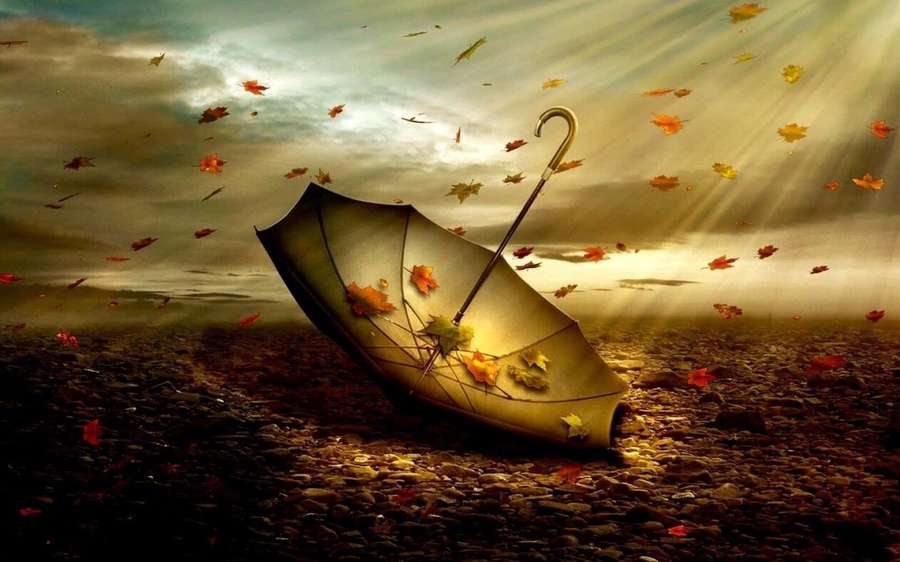 Broken umbrella covered in falling autumn leaves under dramatic golden sunlight. — Autumn Wind Wallpaper