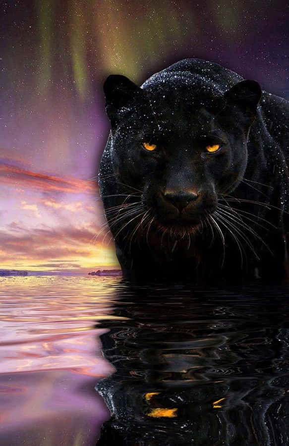 Free Cool Black Panther Animal Wallpaper Downloads, [100+] Cool Black  Panther Animal Wallpapers for FREE 