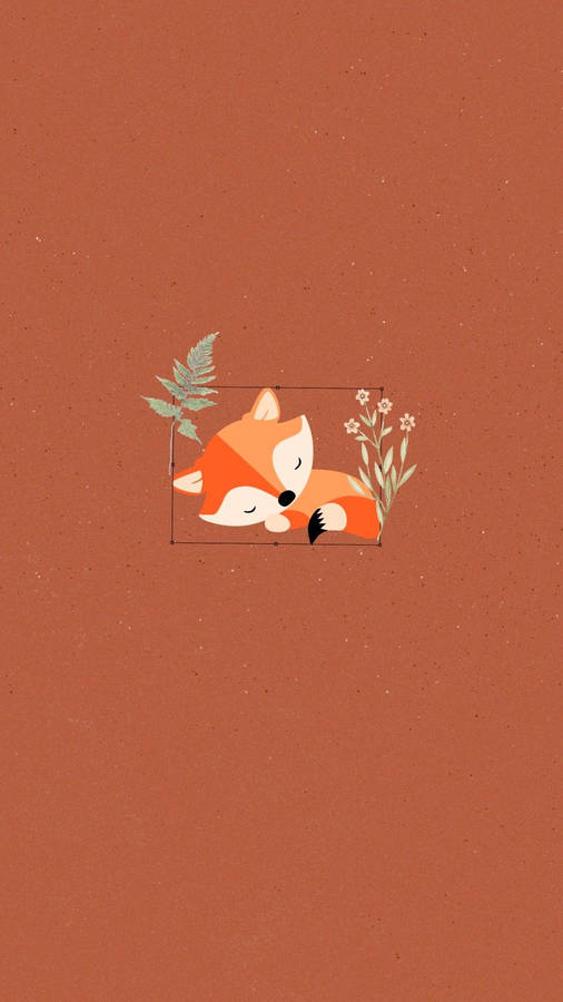 Baby Fox Billeder