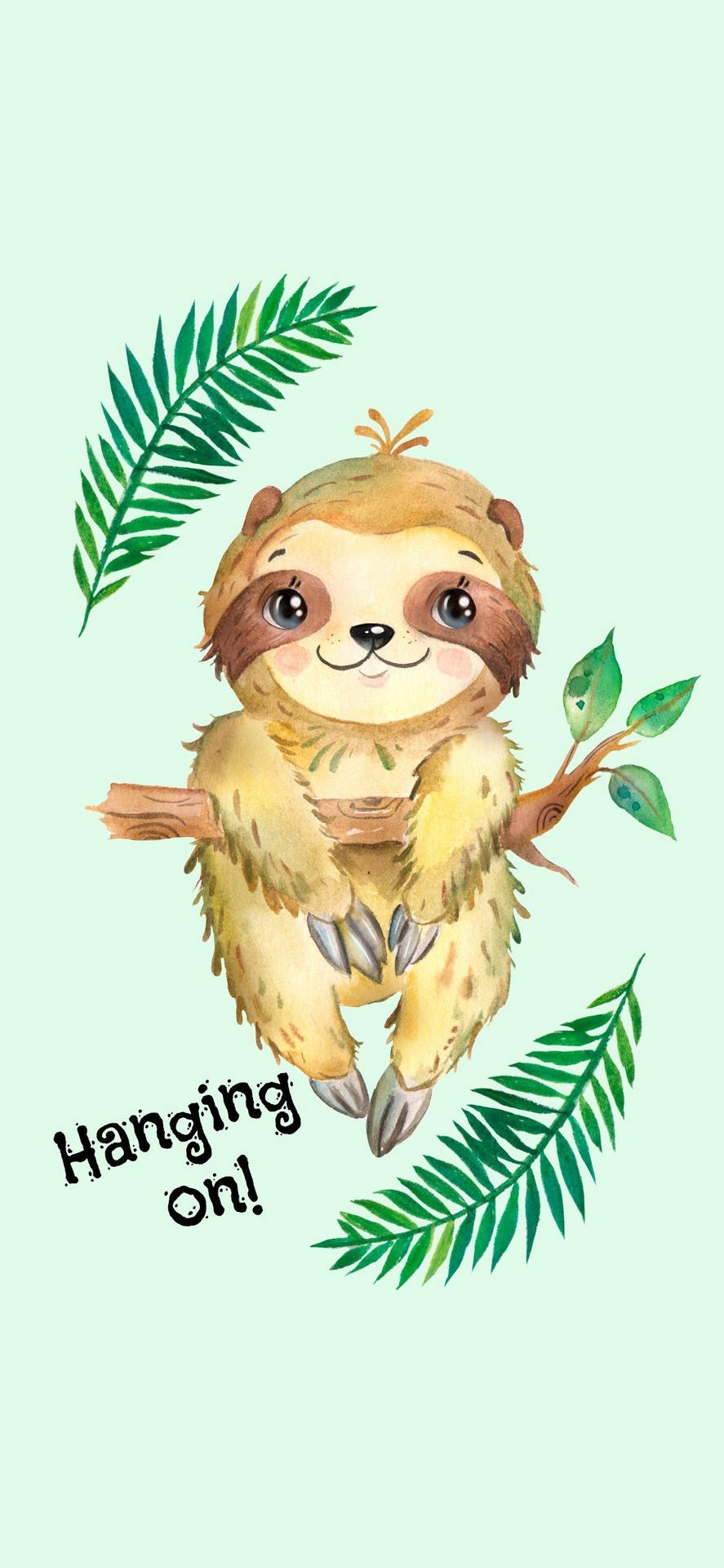Baby Sloth Hintergrundbilder