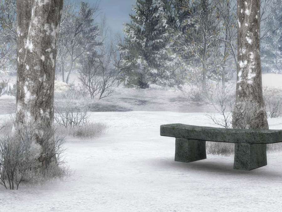 Stone bench in snowy forest with bare trees and gray sky — Background