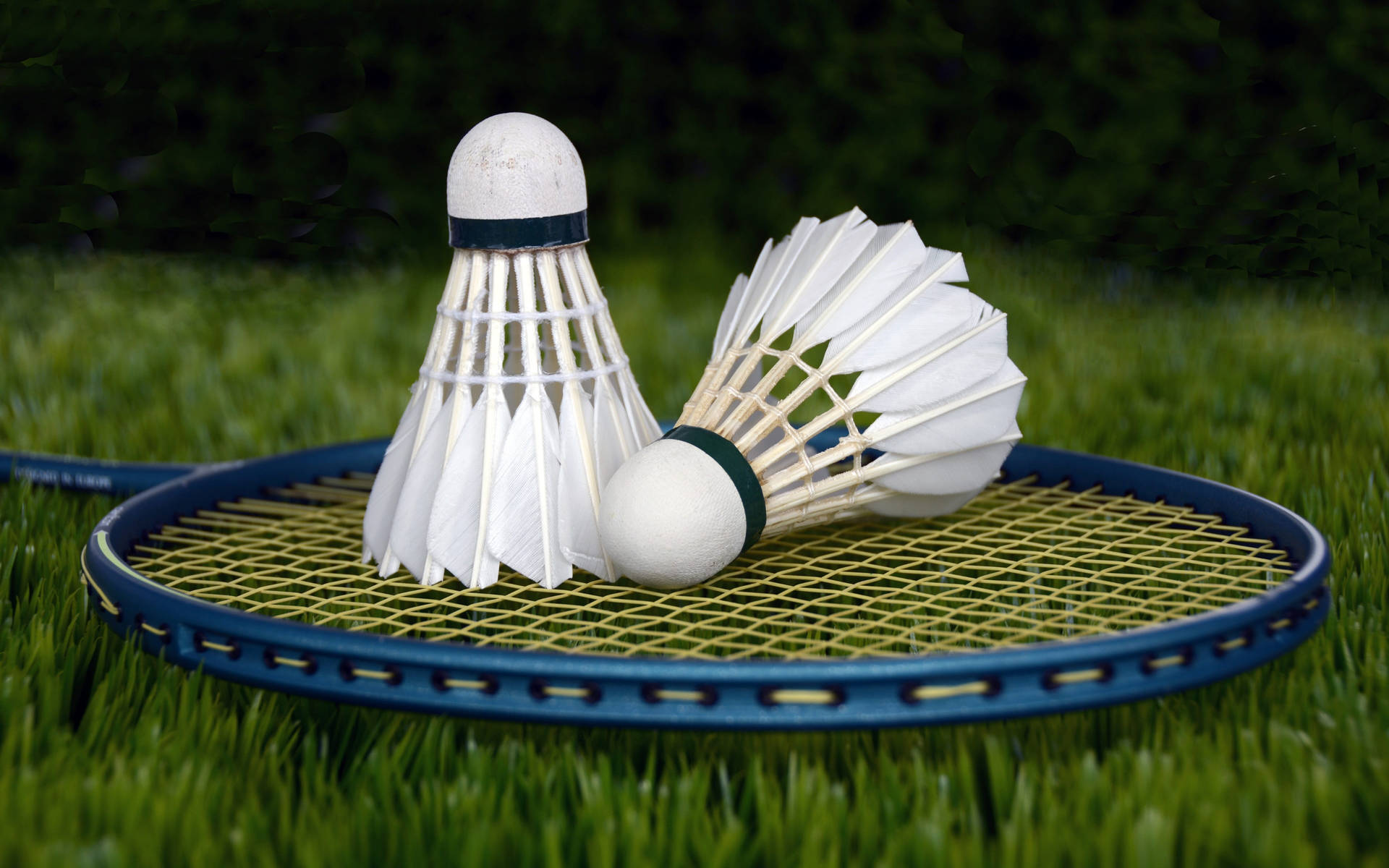 Badminton Sfondo