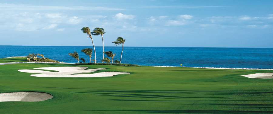 Golfkenttä valtameren ja palmujen kanssa aurinkoisen taivaan alla — Bahama Taustakuvat