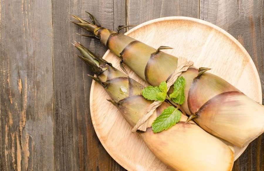 Brotos de bambu frescos guarnecidos com hortelã em um prato de madeira. — Bambu Papéis de Parede