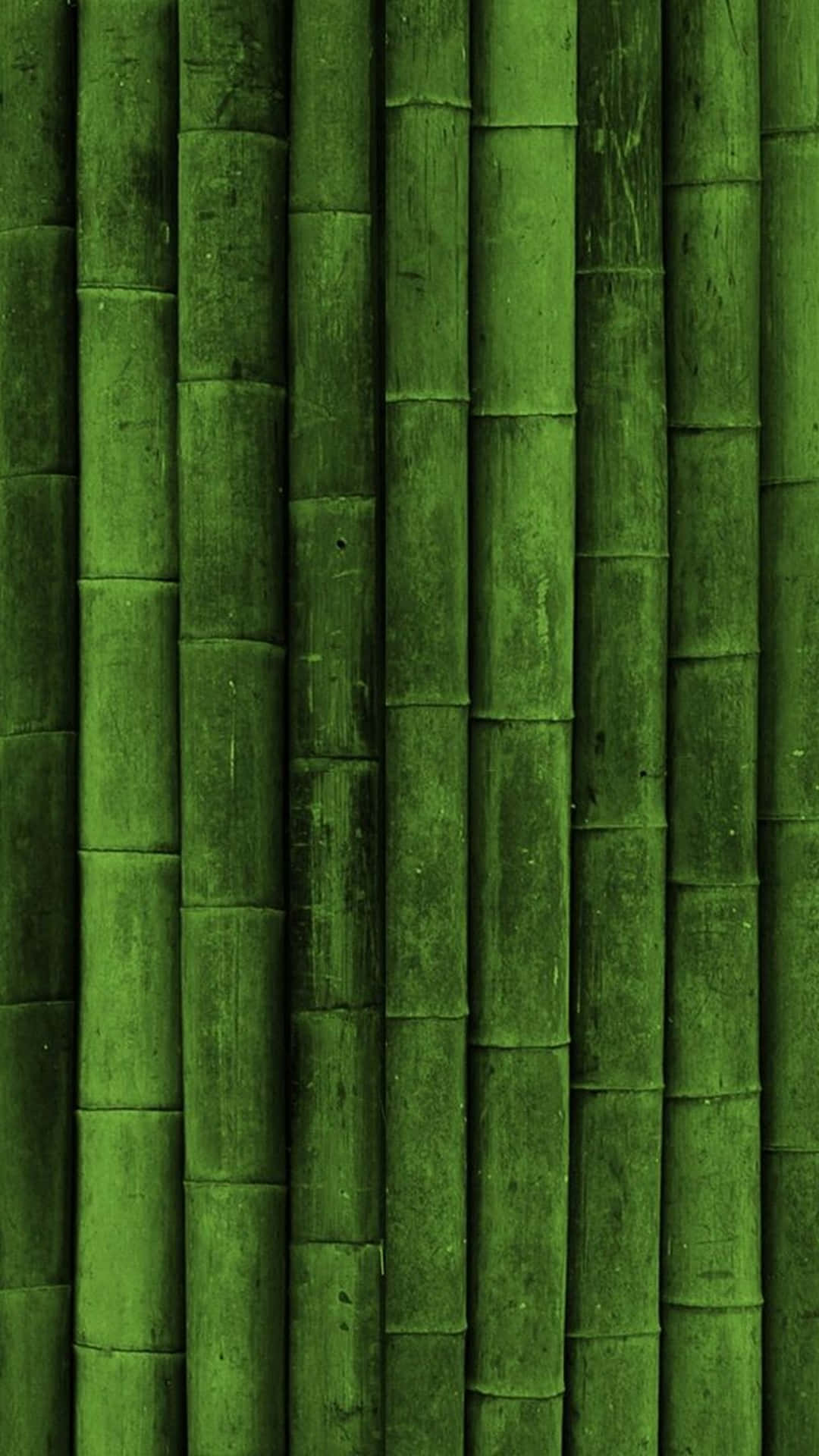 Bambu Wallpaper