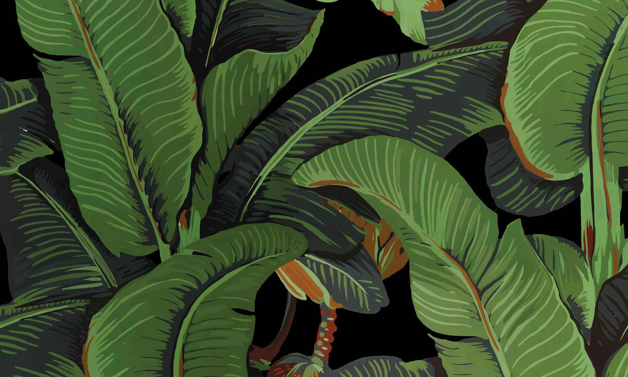 Tropical banana leaves with orange accents on a black background. — Banana Leaf Wallpaper