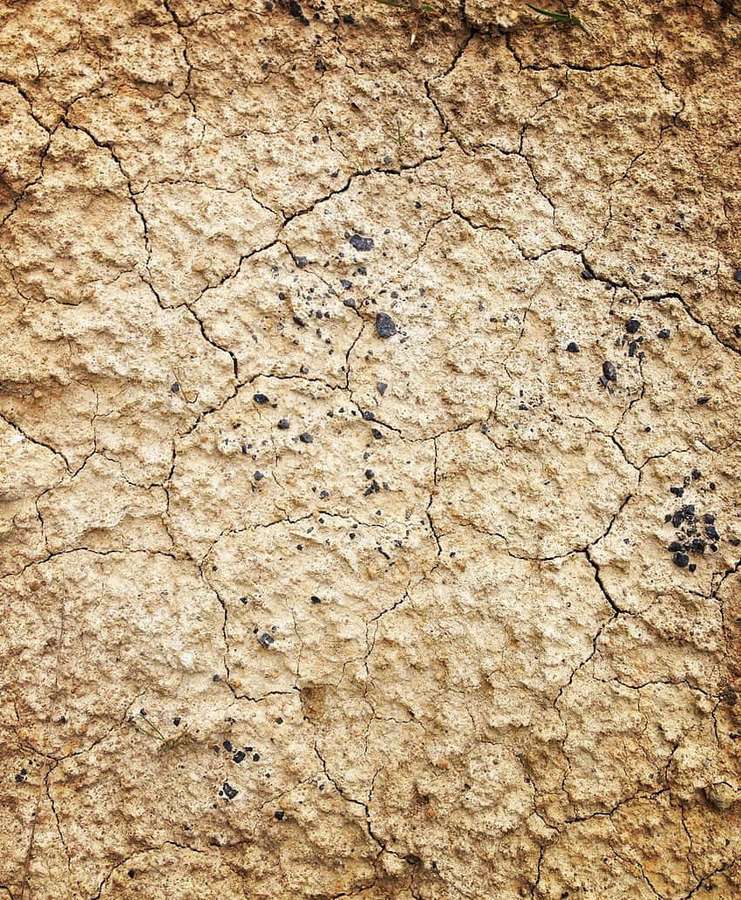 Tierra seca y agrietada con motas oscuras y textura áspera. — Barro Fondos de pantalla