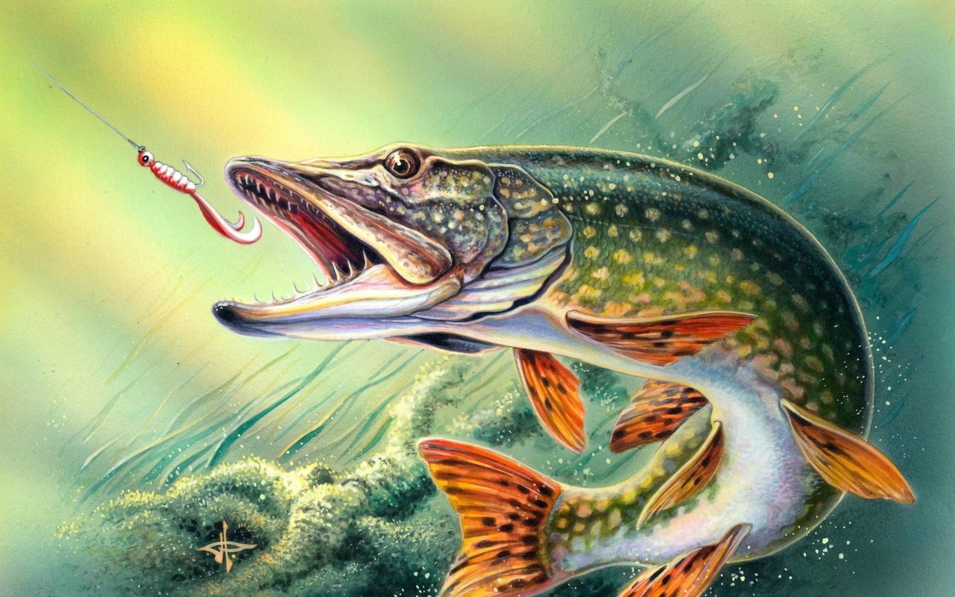 Bass Fiskeri Wallpaper
