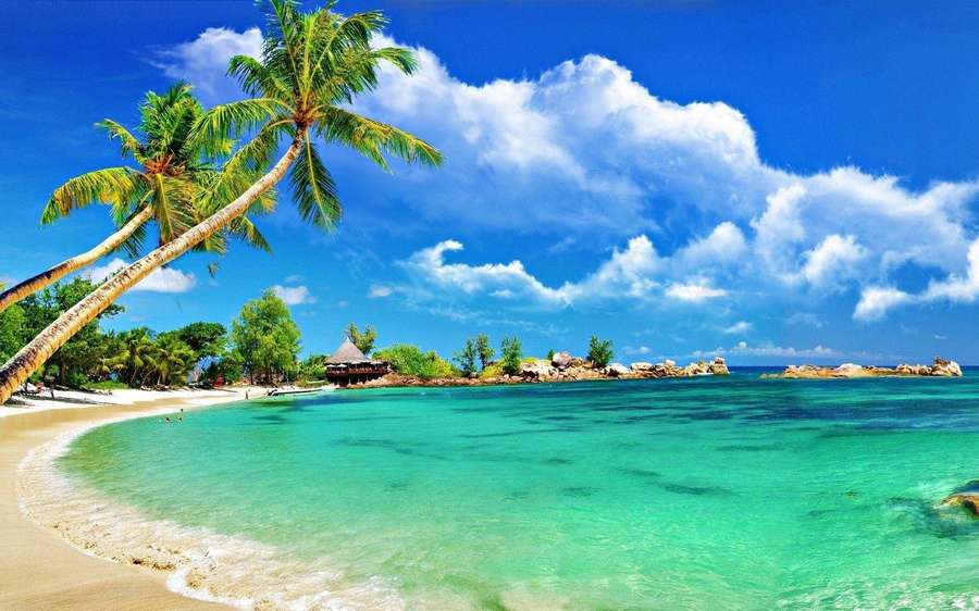 Tropical beach with palm trees turquoise water and blue sky — Beach Desktop Wallpaper