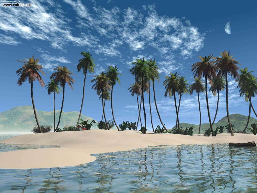 Tropical island with palm trees and calm ocean under blue sky with moon — Beach Palm Trees Wallpaper