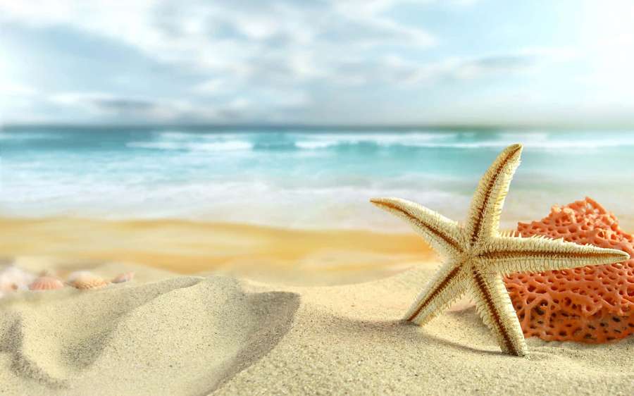 Starfish and sponge on sandy beach with ocean waves — Beach Sand Wallpaper