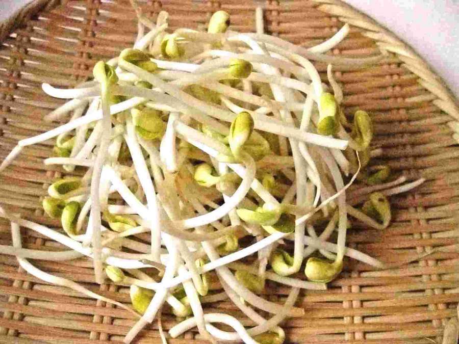 Fresh bean sprouts on a woven bamboo mat. — Bean Sprouts Wallpaper
