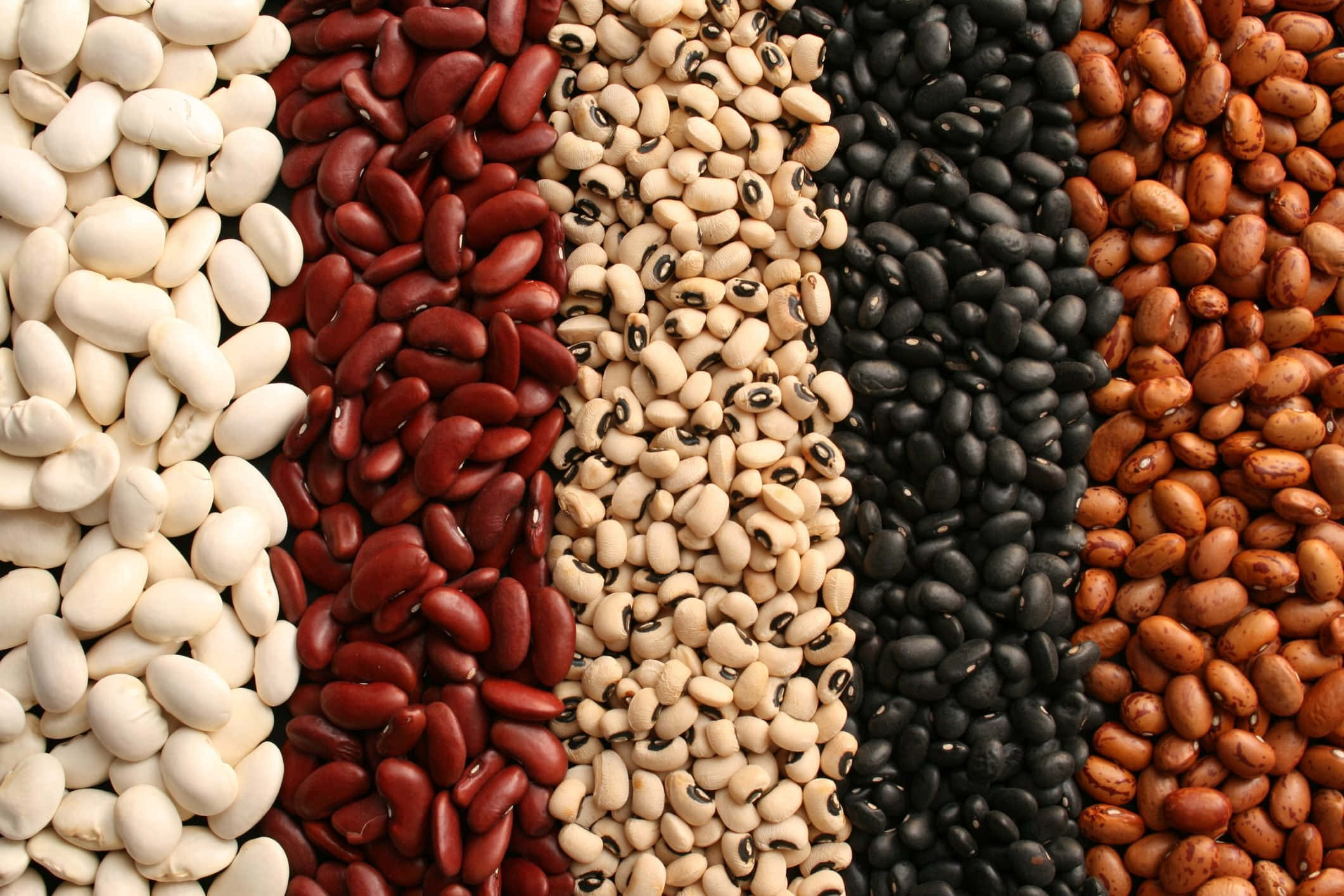 Five types of beans in vertical stripes for healthy eating. — Beans Wallpaper