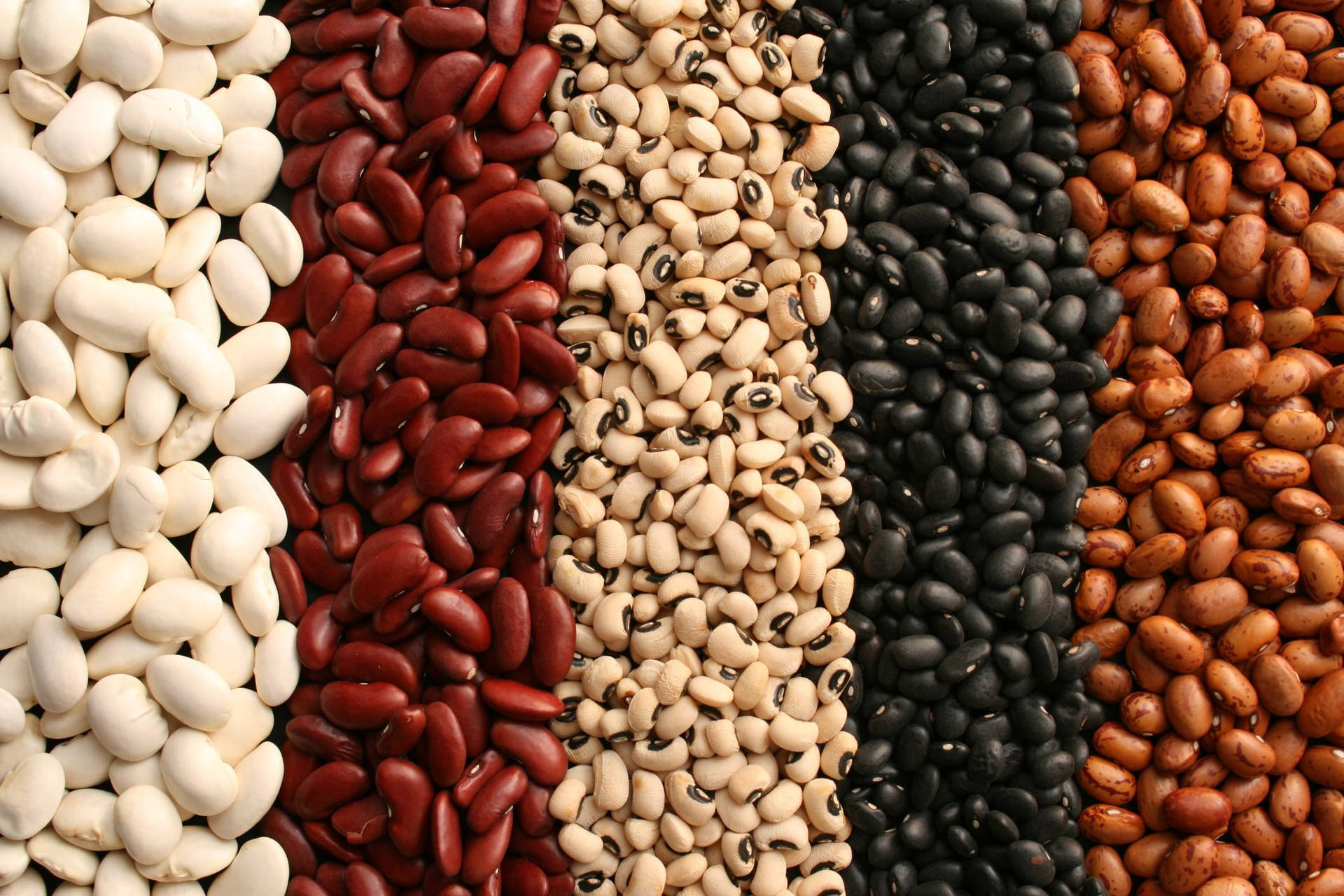 [300+] Beans Pictures | Wallpapers.com