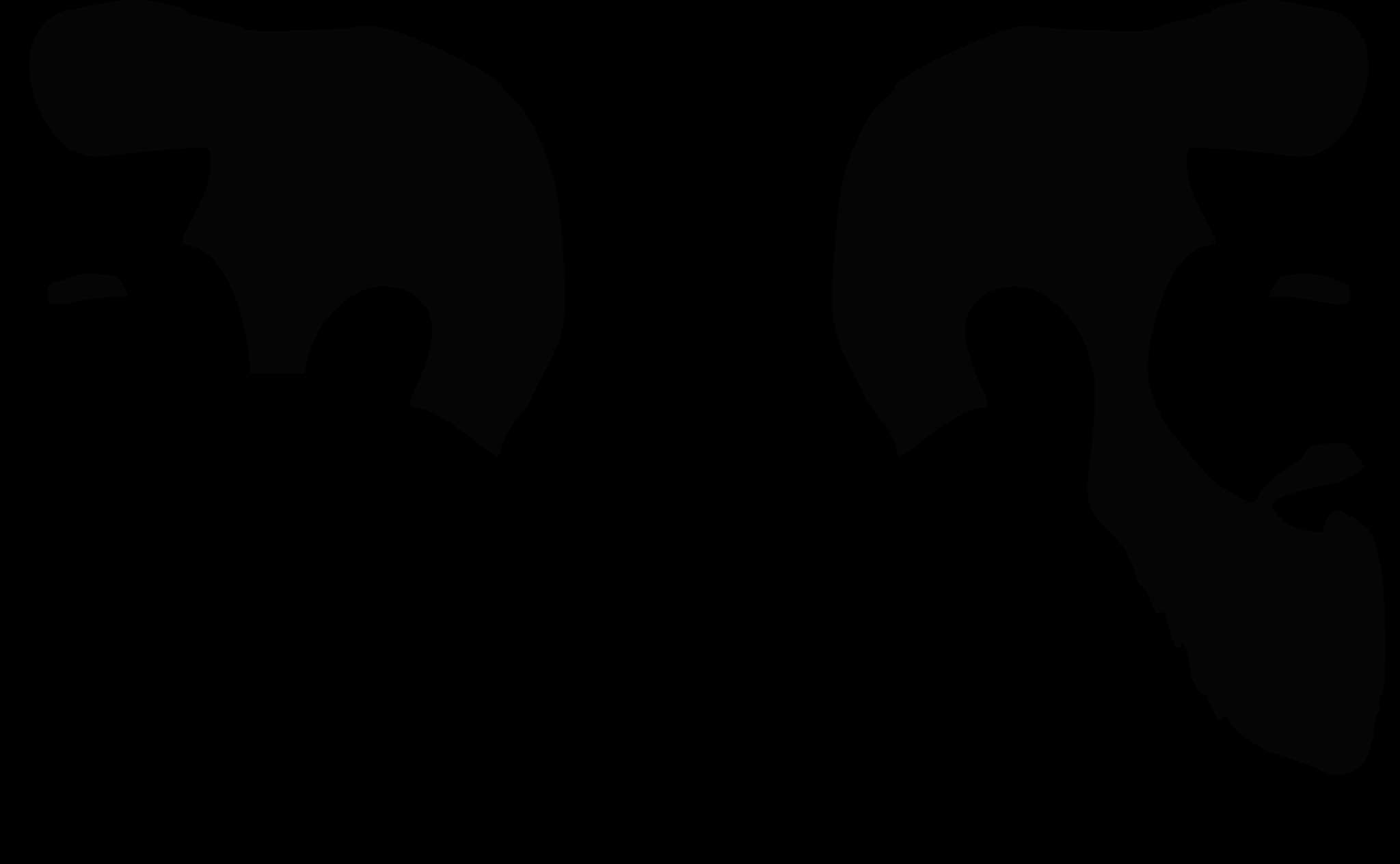 Two minimalist black silhouettes of bearded faces with eyes — Beard PNG