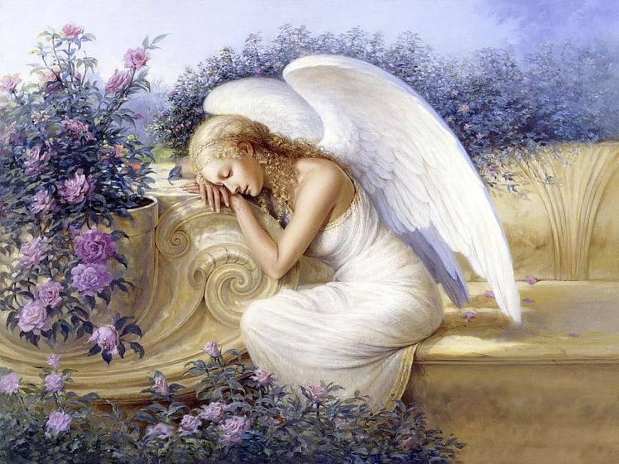 A sleeping angel with white wings rests on a stone bench surrounded by purple roses. — Beautiful Angels Wallpaper