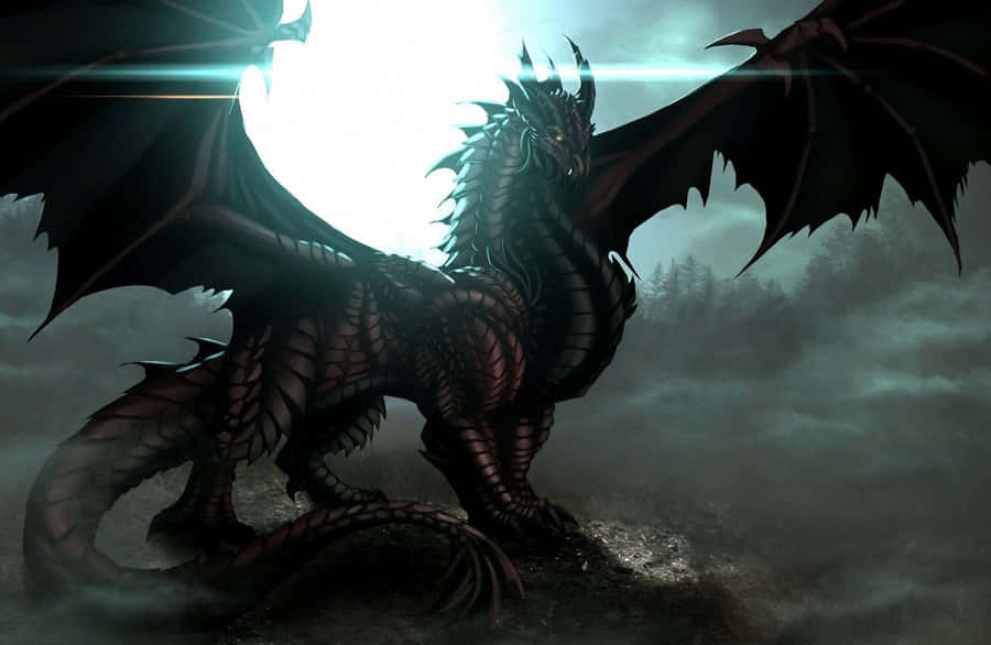 Beautiful Dragon Pictures Wallpaper