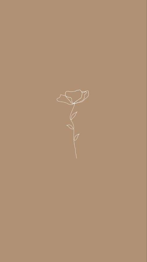 Eine einfache weiße Linienzeichnung einer Rose auf einem taupefarbenen Hintergrund. — Beigefarbene Ästhetik Wallpaper