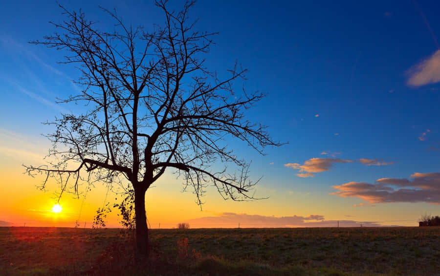 Belle Lumière Du Soleil Fond d'écran