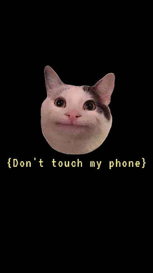 Cat face with smug expression and text don't touch my phone — Beluga Wallpaper