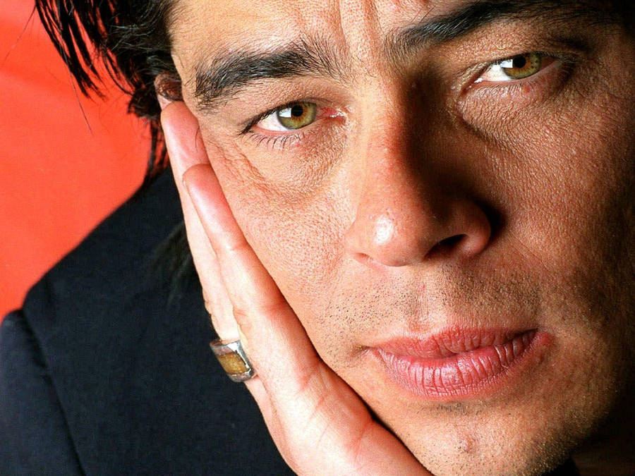 Benicio Del Toro Fondo de pantalla