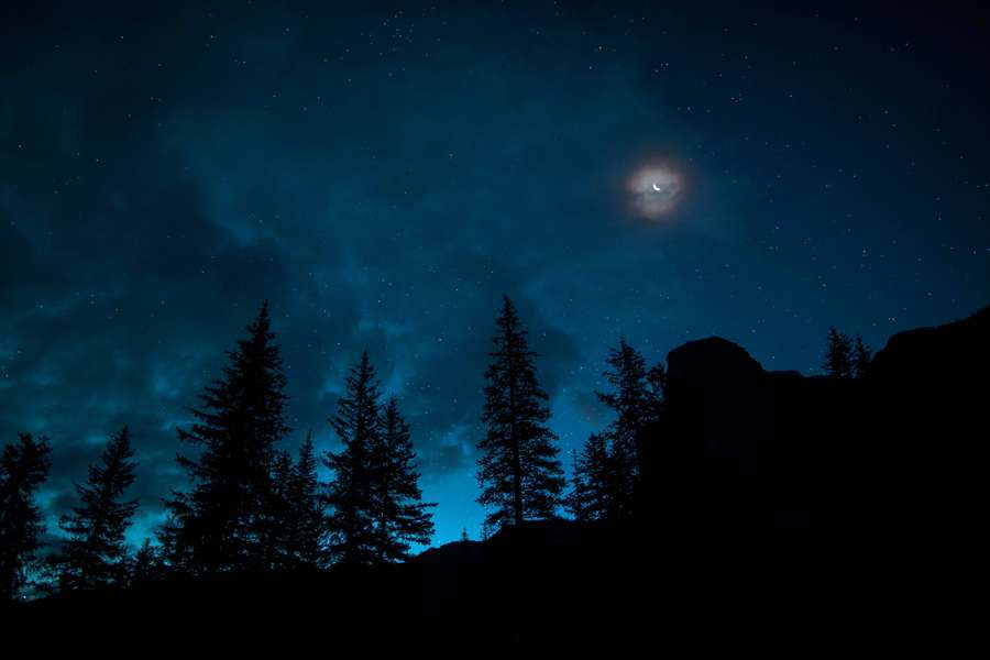Dark pine trees and rocks under a starry night sky with a glowing crescent moon. — Best Quality Background