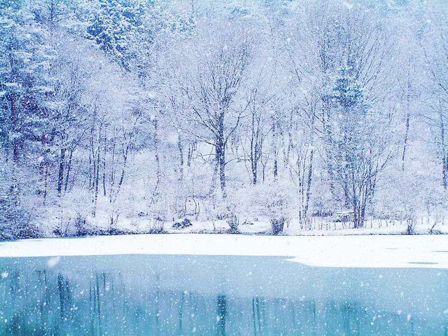 Snow-covered trees reflect in a frozen lake under falling snow. — Best Winter Background