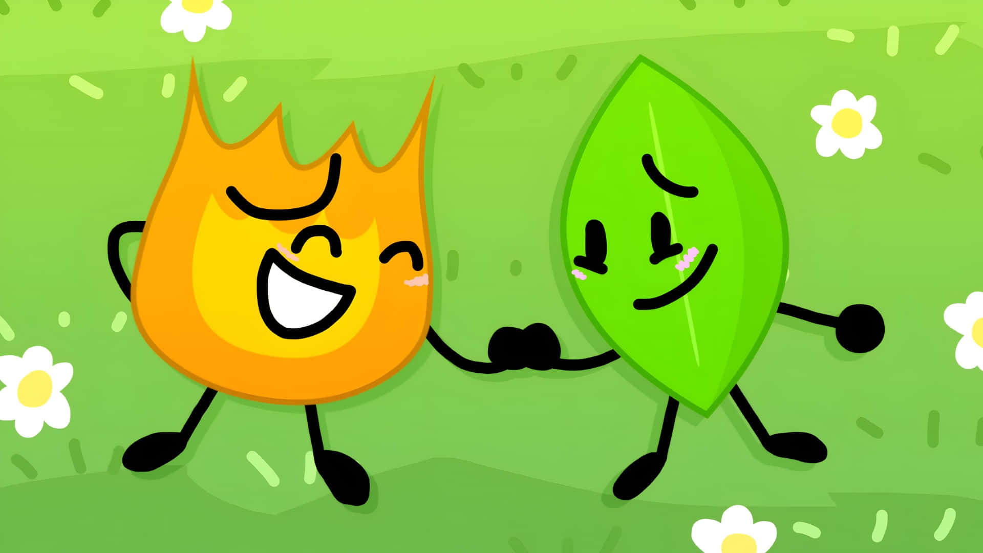 Bfdi Achtergrond