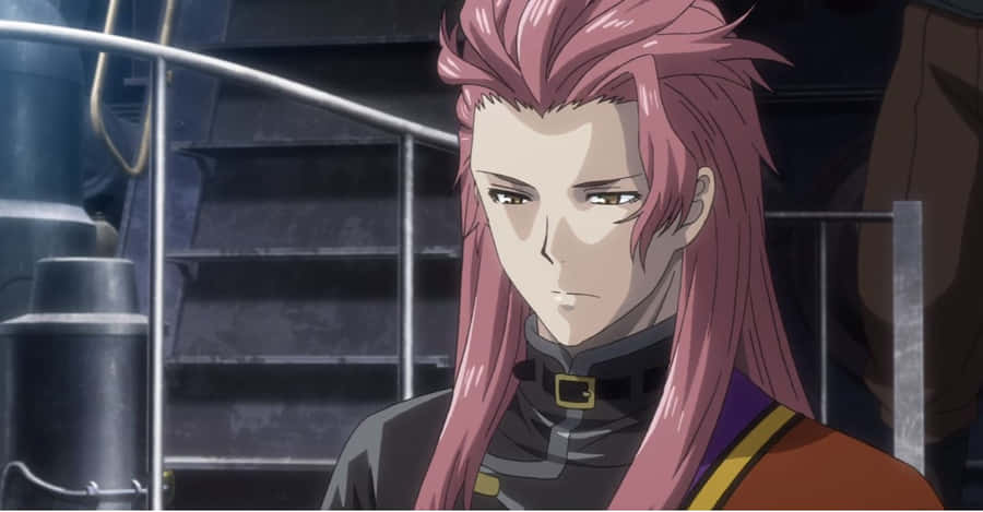 Biba Amatori Wallpaper