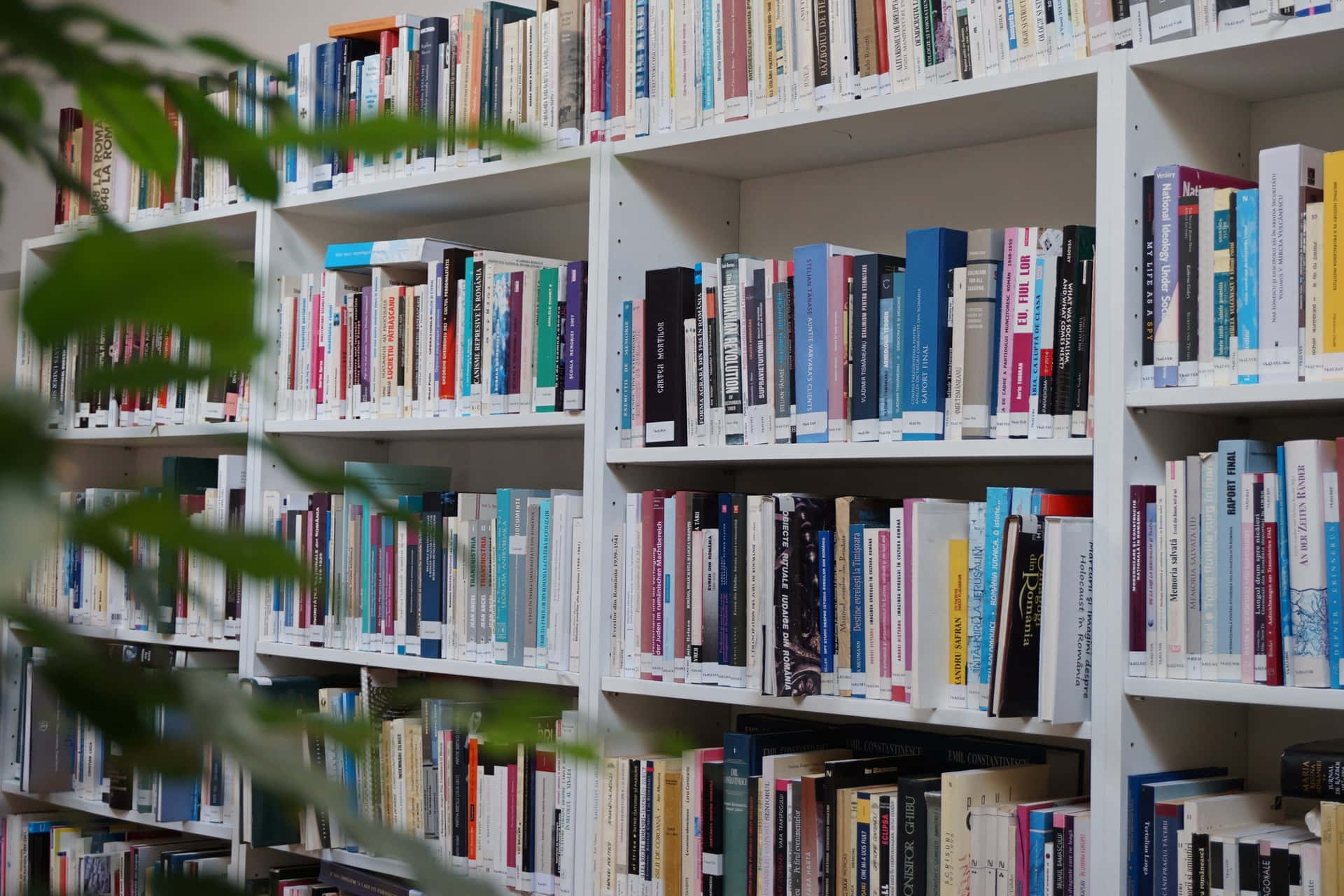 Bibliothèque À Domicile Fond d'écran