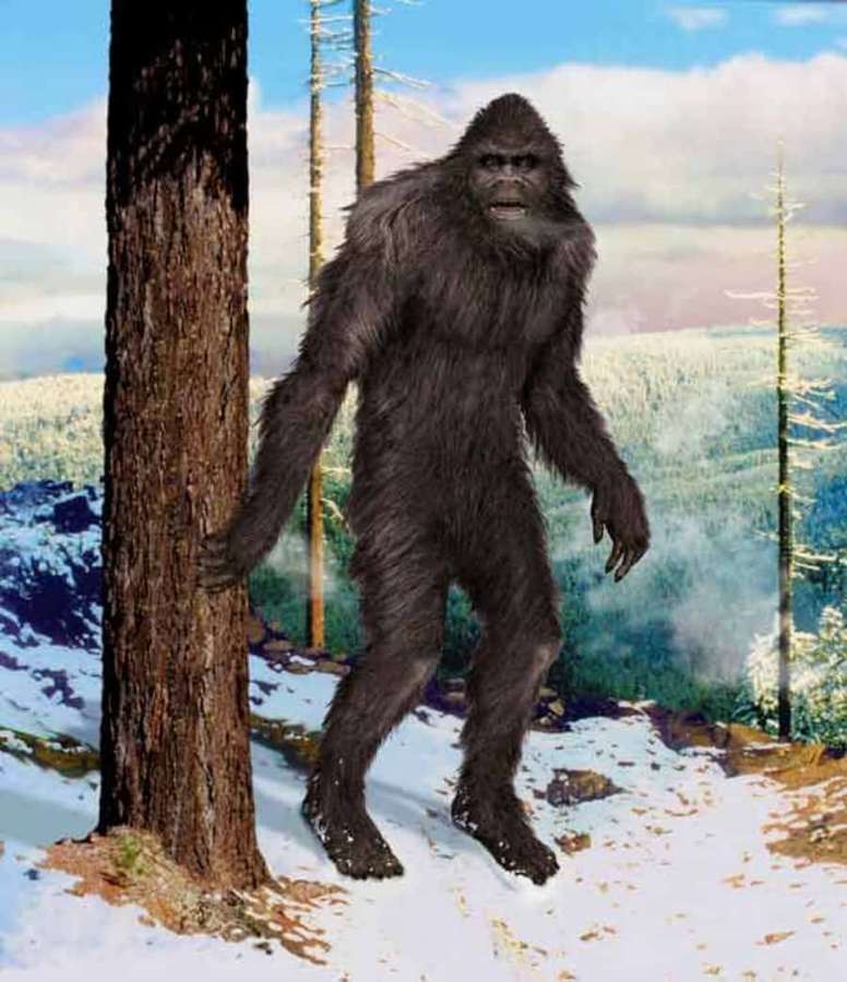 Haariger Bigfoot steht in verschneitem Wald und lehnt an Baum — Bigfoot Bilder