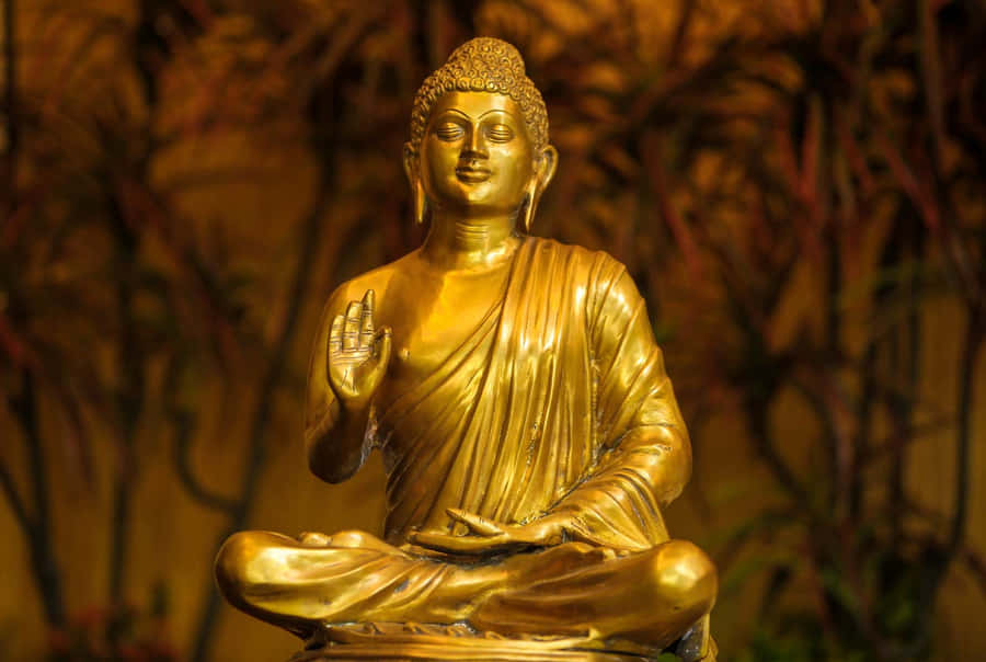 Bilder Des Buddhismus