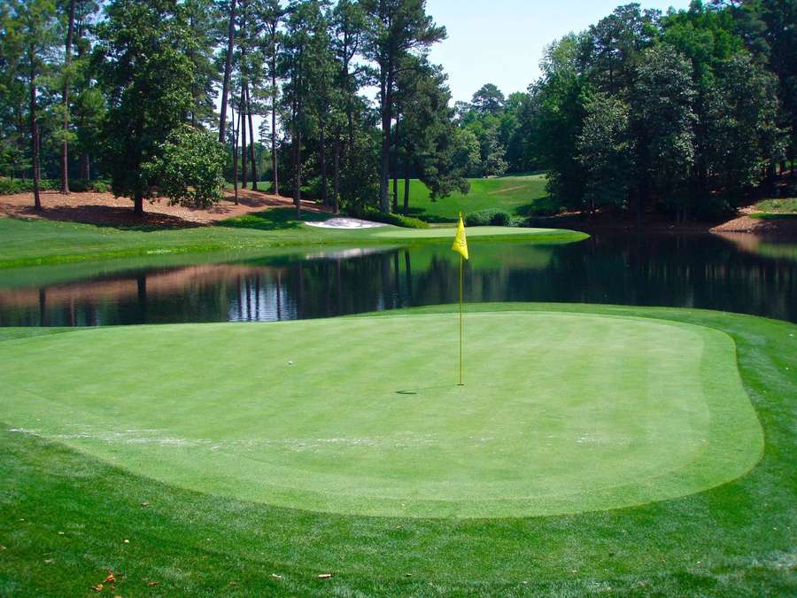 Golfgrün mit gelber Fahne, umgeben von Wasser und Bäumen an einem sonnigen Tag. — Bilder Vom Golfen Wallpaper