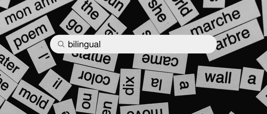 Search bar for bilingual with scattered French and English words around it. — Bilingual Wallpaper