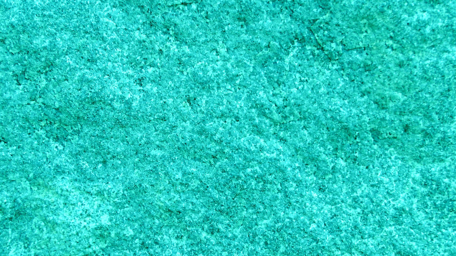 Biru Turquoise Wallpaper