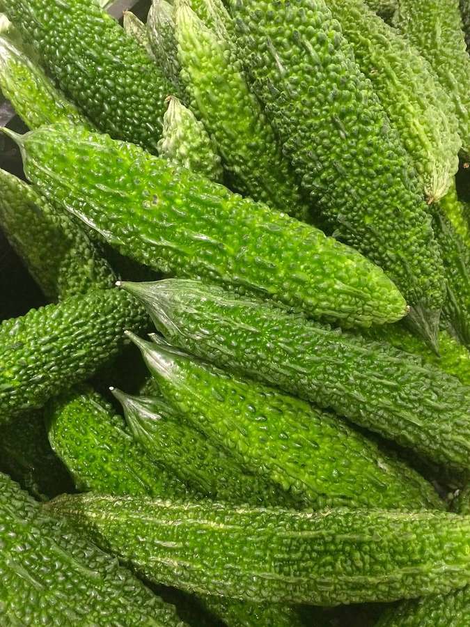 Frische grüne Bittermelonen mit höckeriger Schale aufeinander gestapelt. — Bitterer Kürbis Wallpaper