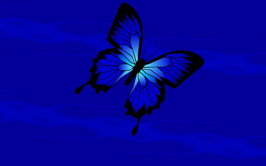 Blå Butterfly Æstetik Wallpaper