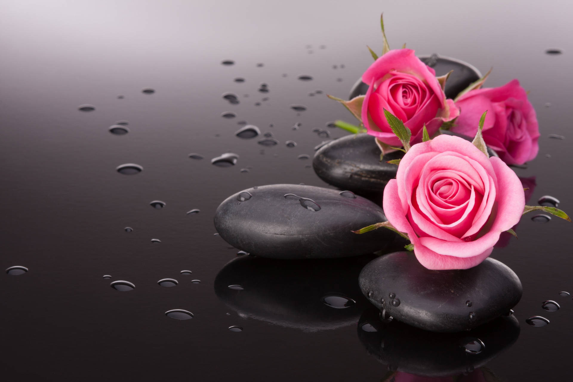 Black And Pink Aesthetic Pictures Wallpaper