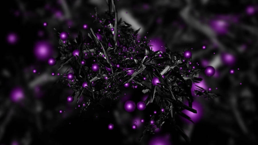 Black And Purple Pictures Wallpaper