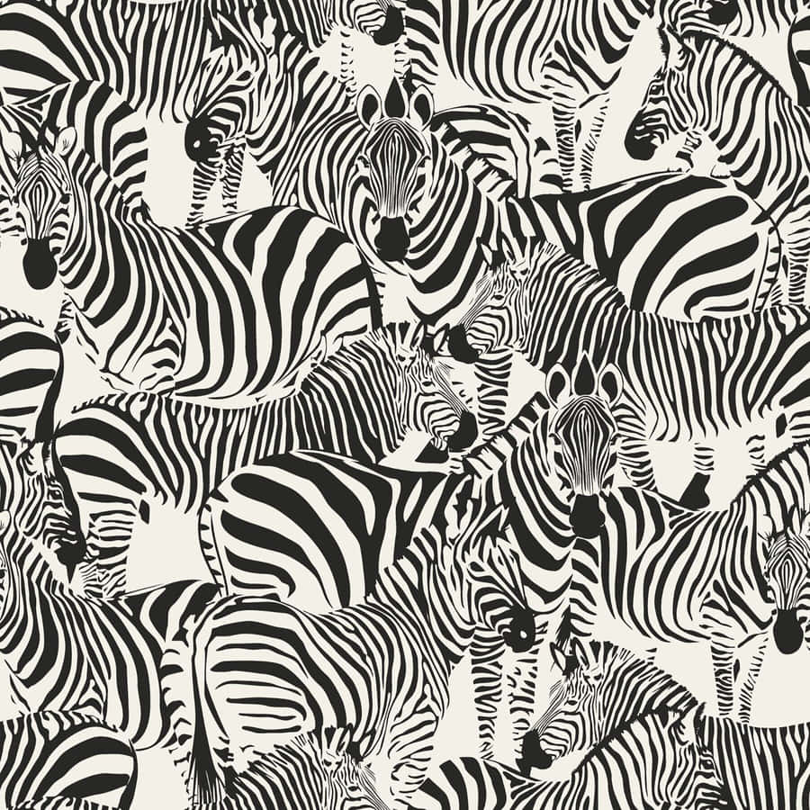 Black And White Animal Print Background Wallpaper