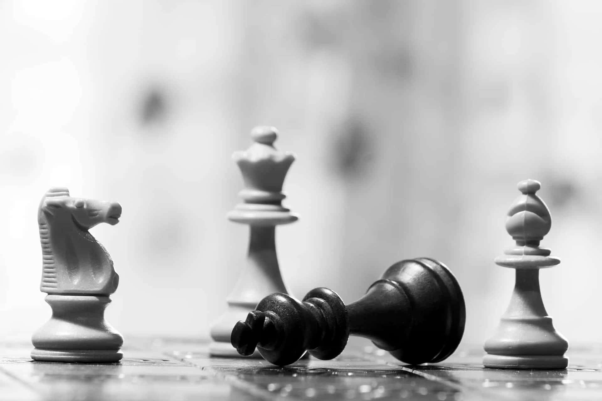 chess black and white photography