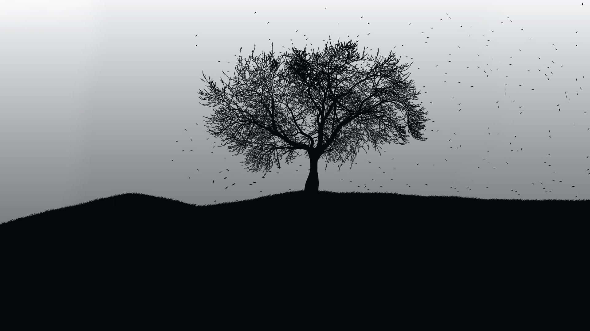black and white trees wallpaper